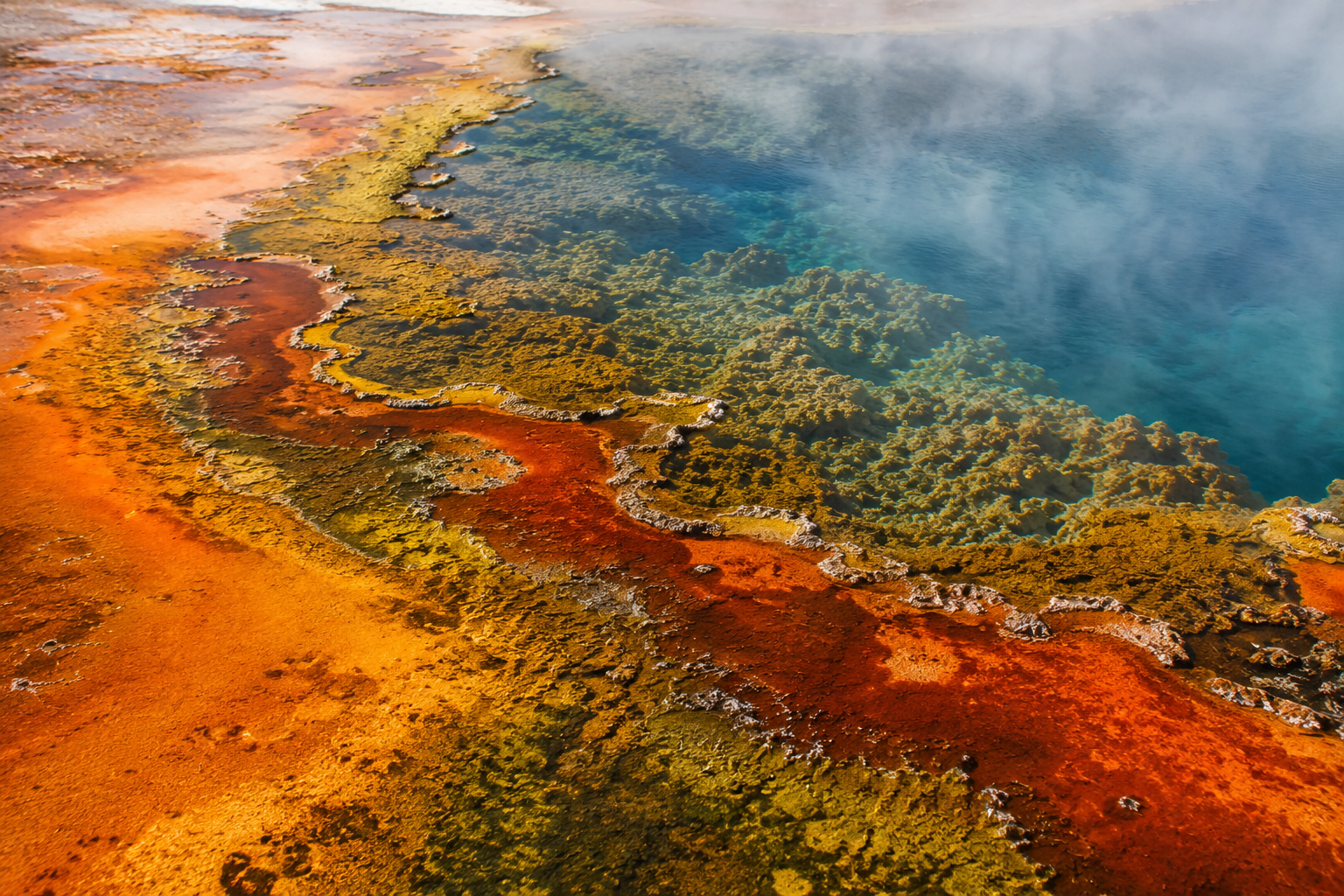 Colorful thermophilic microbial mats around a Yellowstone hot spring.