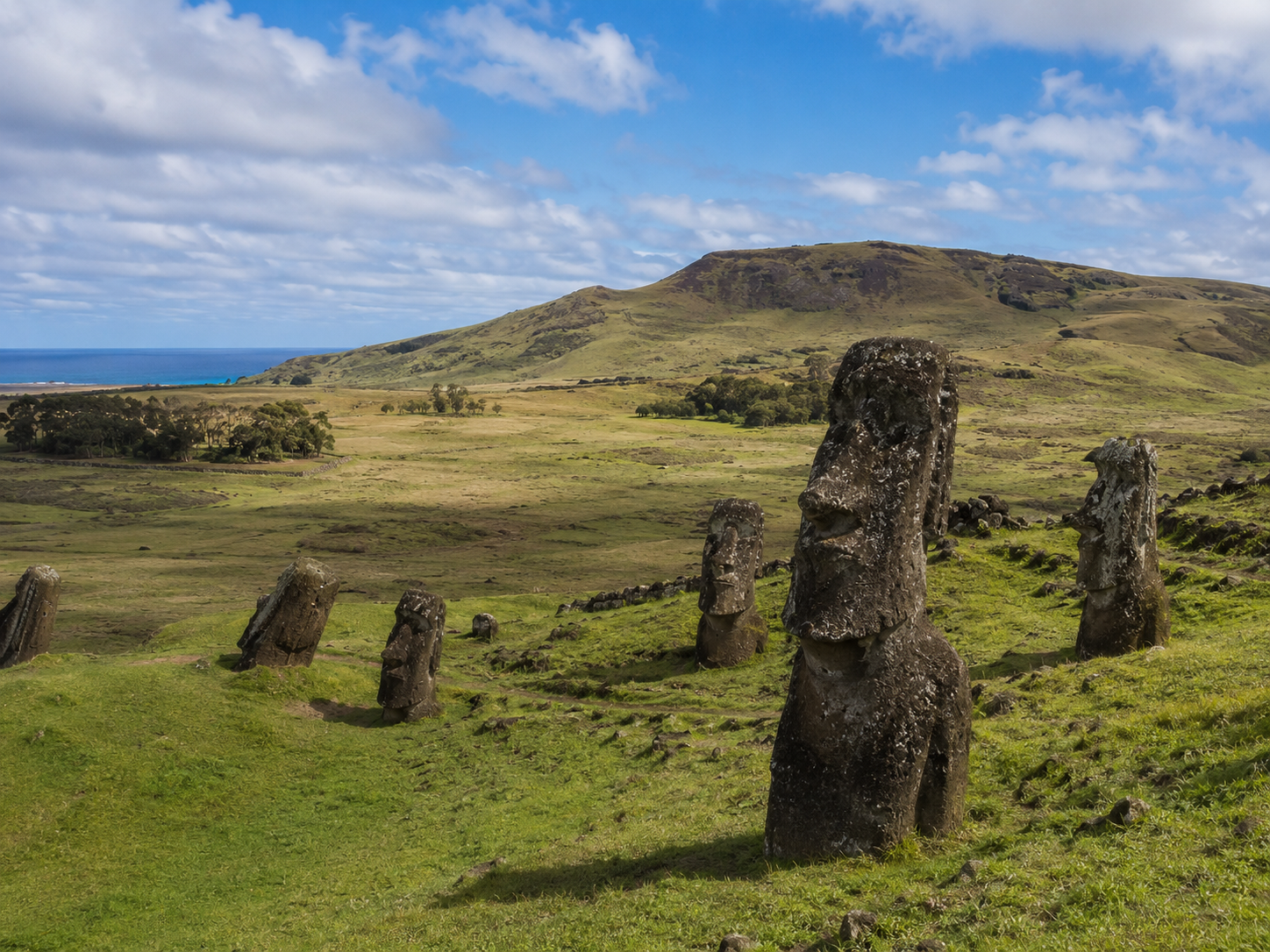 Grass-covered volcanic landscape of Rapa Nui with moai and limited tree cover.