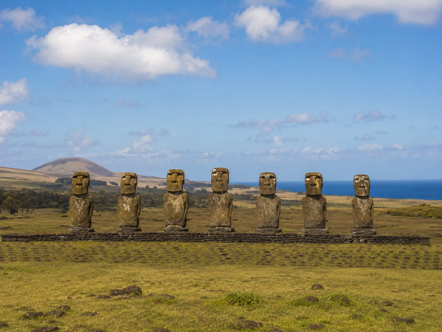 Seven moai standing at Ahu Akivi with the Pacific landscape behind them.