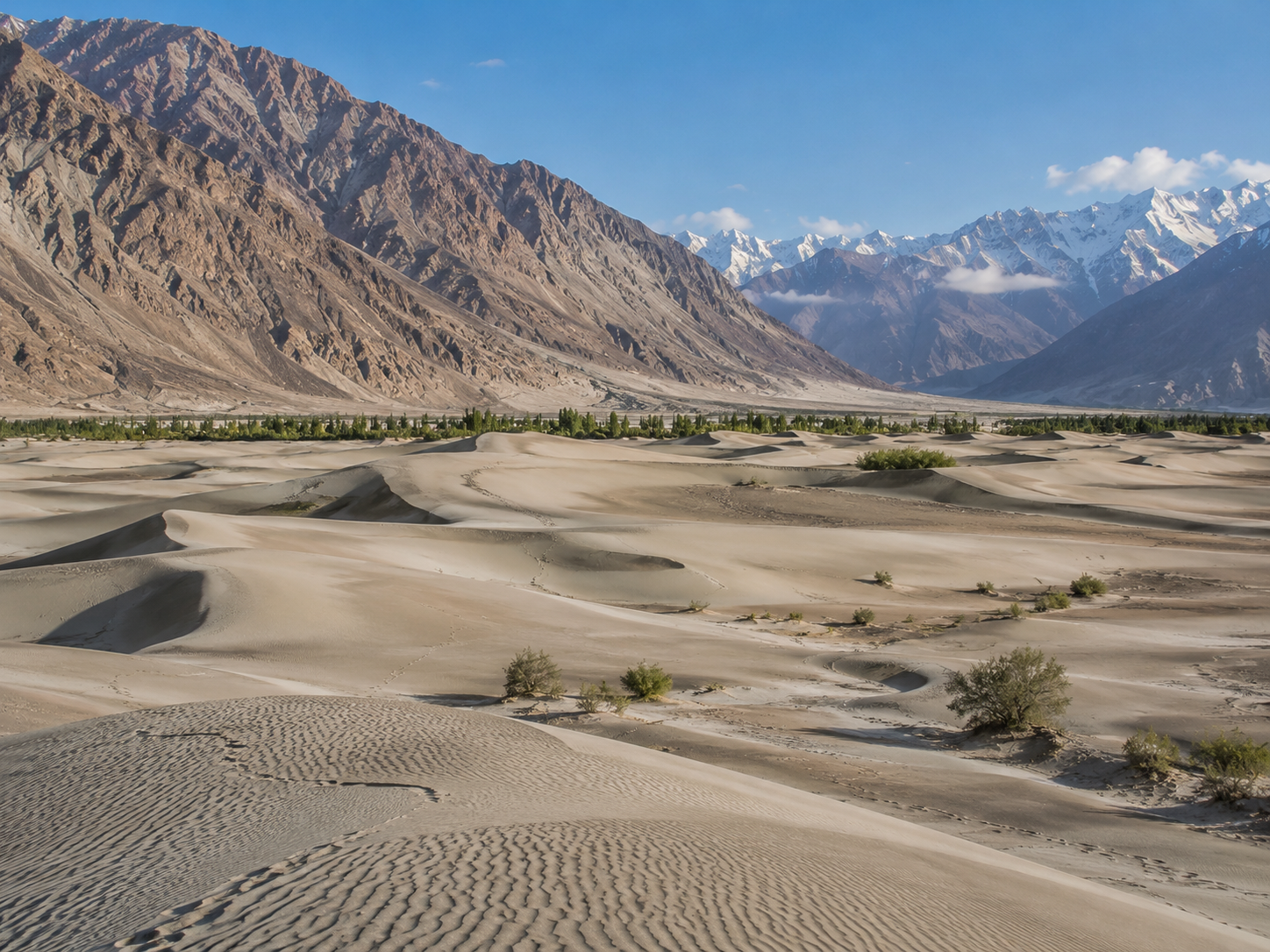 Sand dunes at Hunder in Nubra Valley with rugged mountains and distant snow-capped peaks.