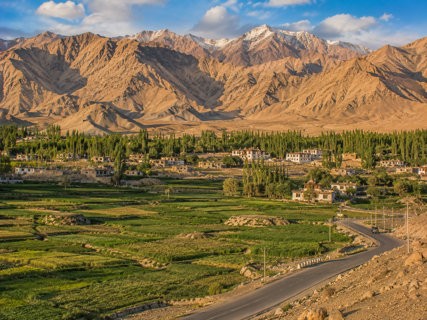 Ladakh village and green fields beneath towering barren mountains in warm evening light.