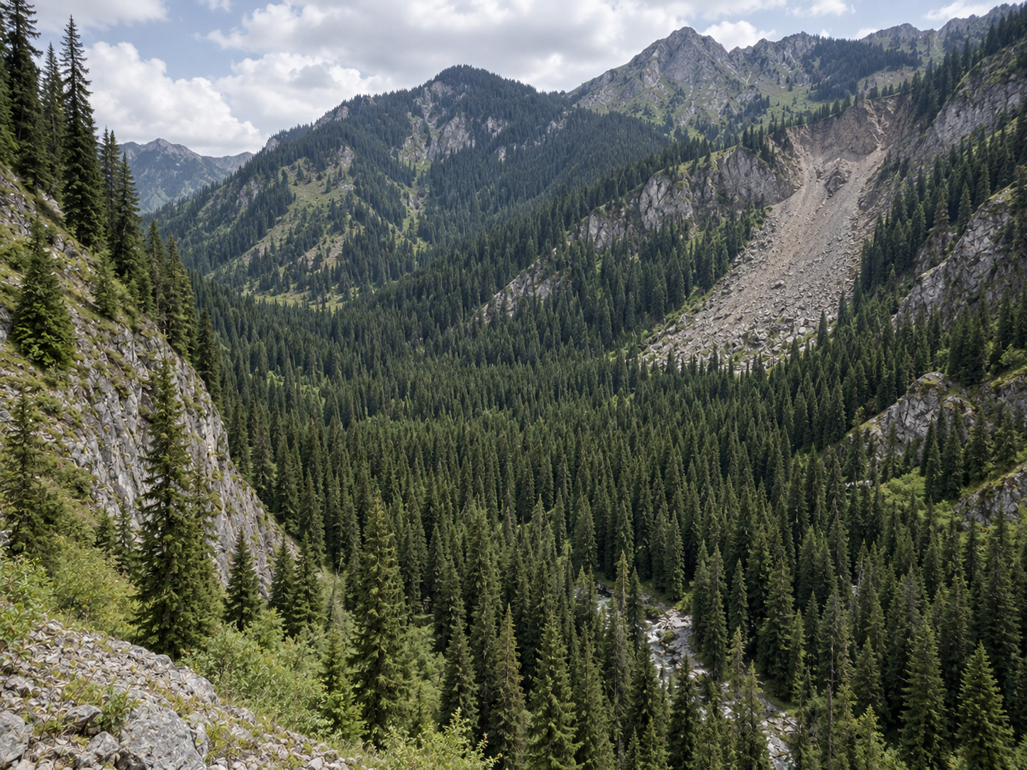 A spruce forest once covered the valley that later became Lake Kaindy after a landslide dam formed.