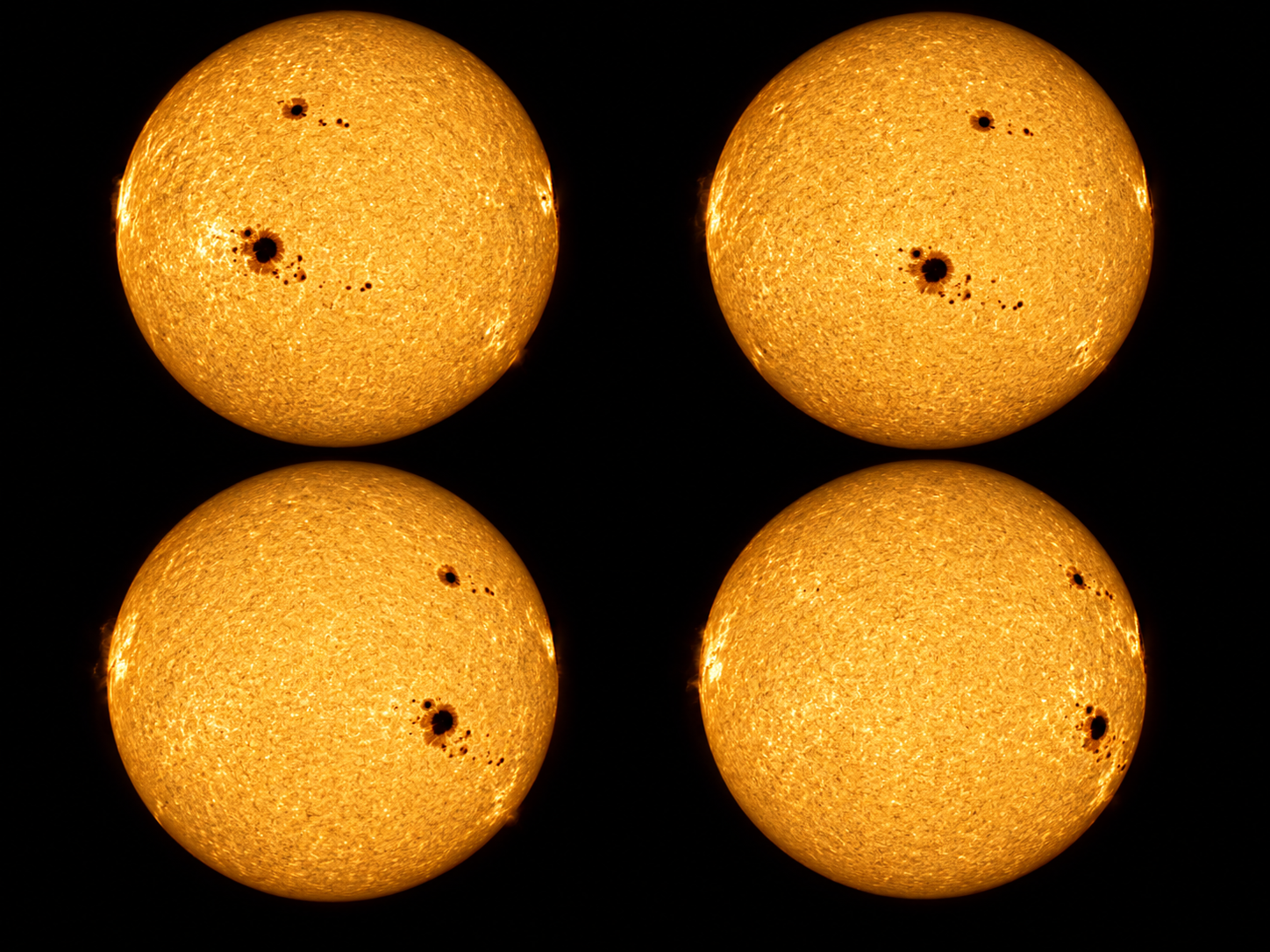A sequence of solar images shows sunspots moving across the Sun and reveals different rotation rates at different latitudes.
